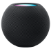  Цвет HomePod mini: Space Gray