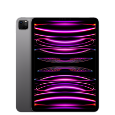 Планшет iPad Pro M2 (2022) 11" Wi-Fi + Cellular 2 ТБ, серый космос
