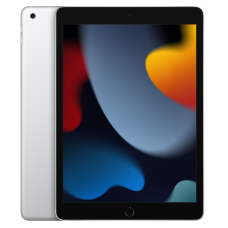 Планшет iPad 2021 10,2" Wi-Fi + Cellular 256 ГБ, серебристый