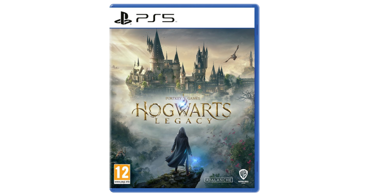 Купить игру для PS5 WB Games Hogwarts Legacy