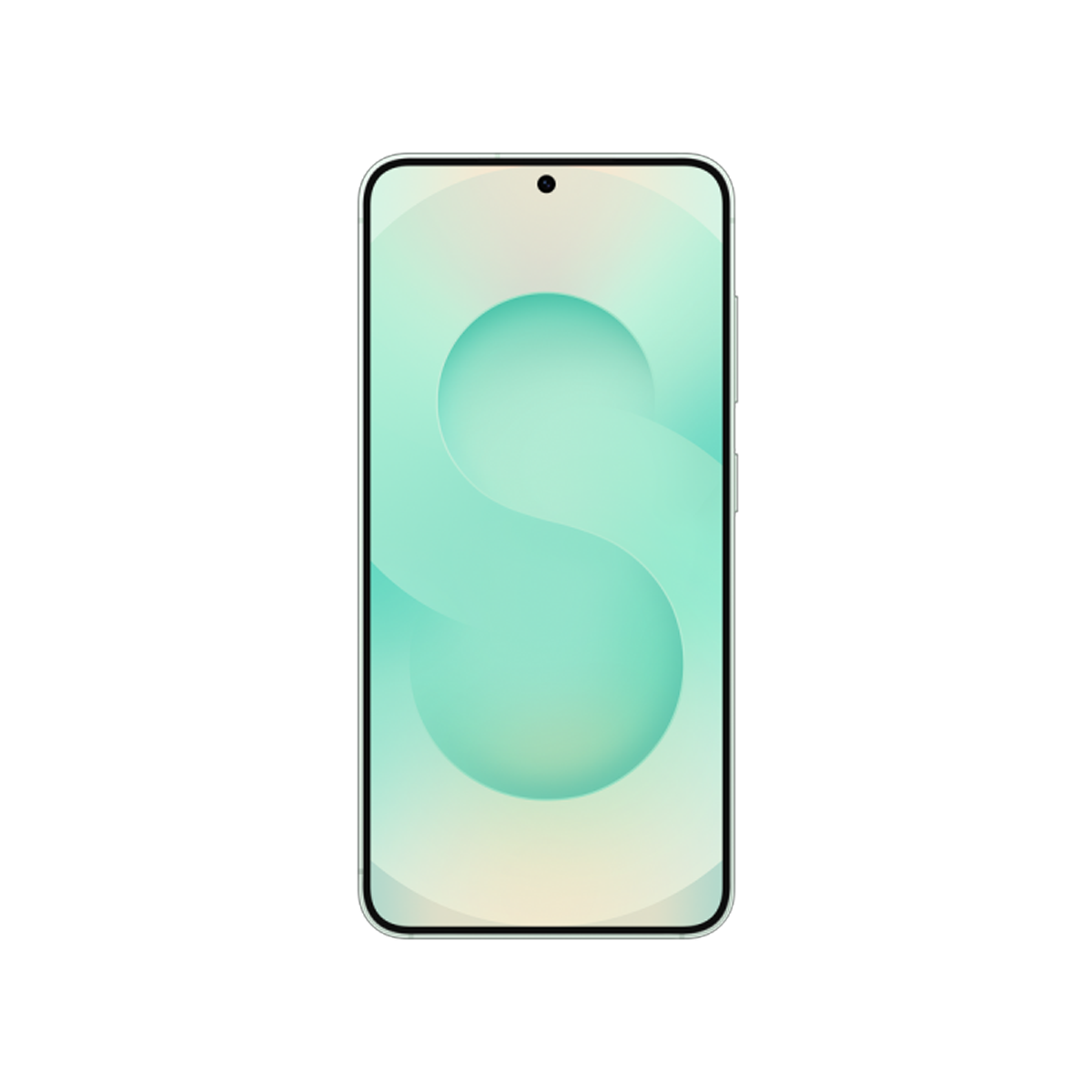 Фото Смартфон Samsung Galaxy S25+ 12 ГБ | 256 ГБ Мятный